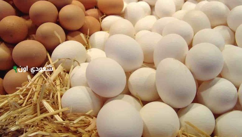 سعر كرتونة البيض النهاردة الثلاثاء 17 يونيو 2025 سعر البيض الأبيض والأحمر