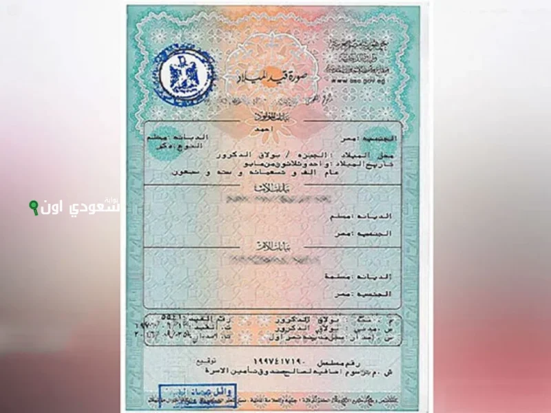 شهادة الميلاد الرقمية بقت بين ايديك ازاي تطلعها بسرعة وامان من موبايلك