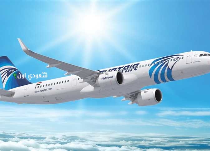 طريقة الاستعلام عن المرتب