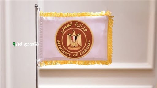 فرصة ذهبية للعمل في الأردن للمصريين برواتب تصل حتى 20 ألف جنيه! اعرف التفاصيل egyemp.labour.gov.eg