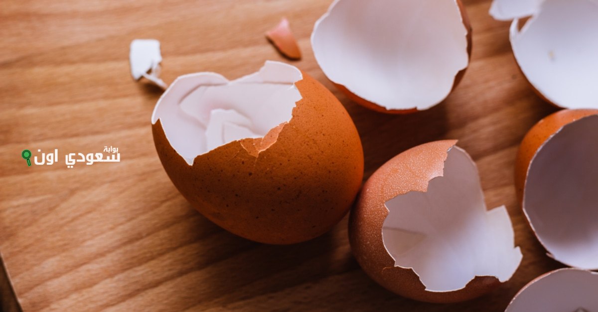 فوايد قشر البيض الصحية.. كنز مهمل في البيت يقوي العظام وينشط الدورة الدموية