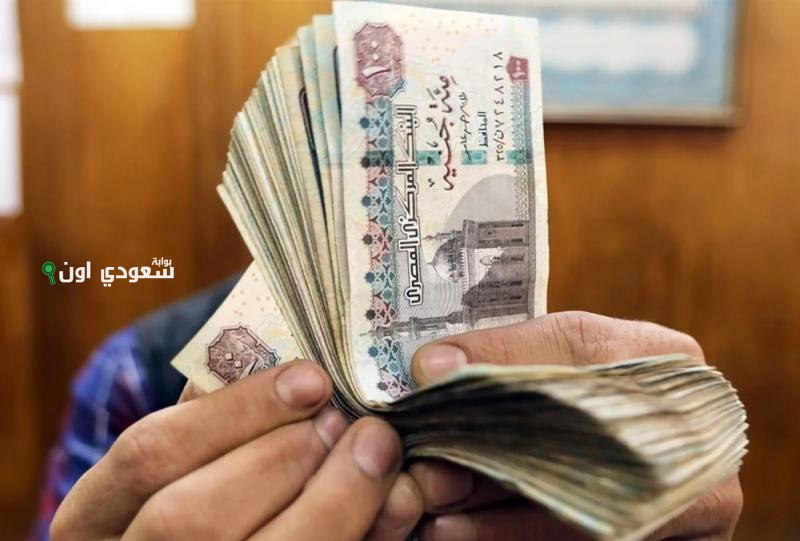 قرار وزارة المالية رسمي بخطوات صرف زيادة 15 المرتبات يوليو