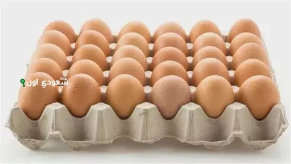 كرتونة البيض بكام النهاردة؟! سعر كرتونة البيض اليوم الخميس 26-6-2025