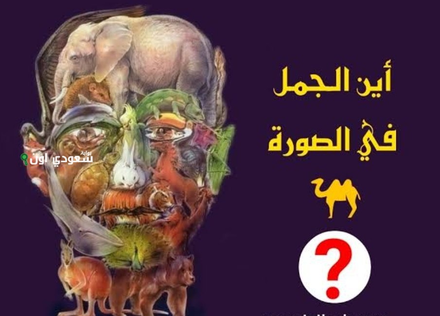  لو عرفت تطلع الحيوان الي مستخبي في الصورة دي