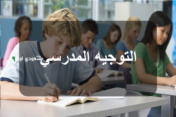 وزارة التربية تحدد موعد فتح خدمة التوجيه الجامعي للناجحين في دورة المتفوقين 2025