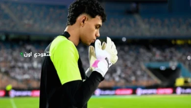 محمود الشناوي