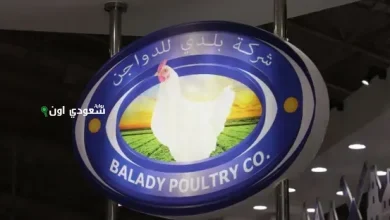 شركة بلدي
