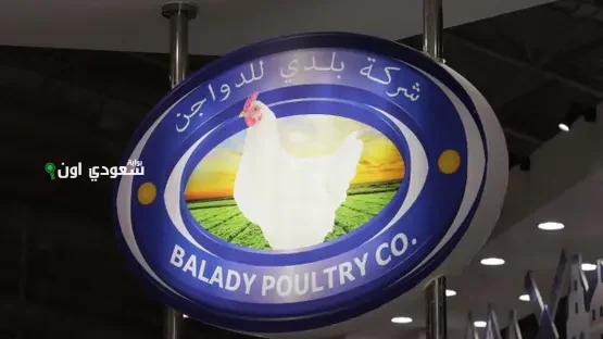 شركة بلدي