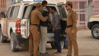 ضبط مخالفين لأنظمة الإقامة والعمل وأمن الحدود