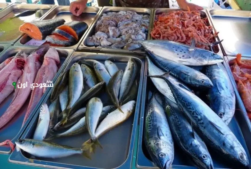 أسعار الأسماك اليوم في مصر