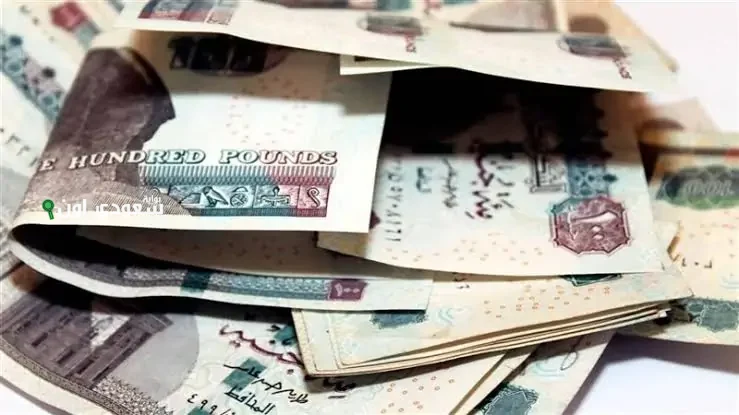 سعر الدولار اليوم في مصر
