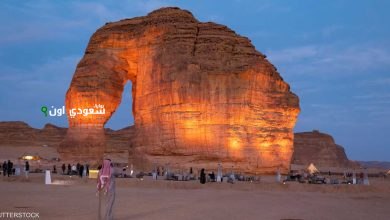 السعودية تحقق إنجازًا سياحيًا جديدًا مع اقتراب عدد الزوار من 100 مليون في 2024