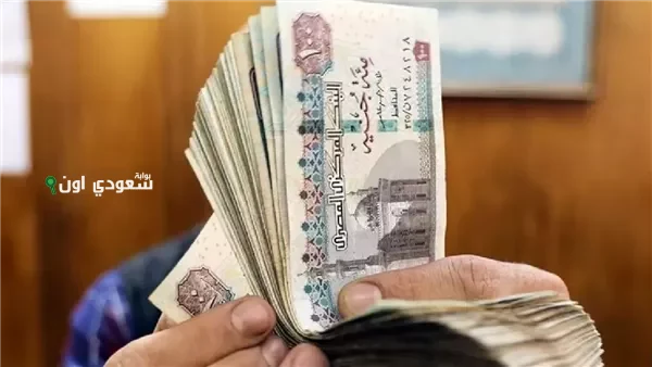 1600 جنيهًا زيادة في جدول مرتبات أعضاء هيئة التدريس بالجامعات