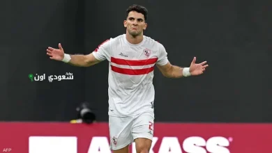زيزو