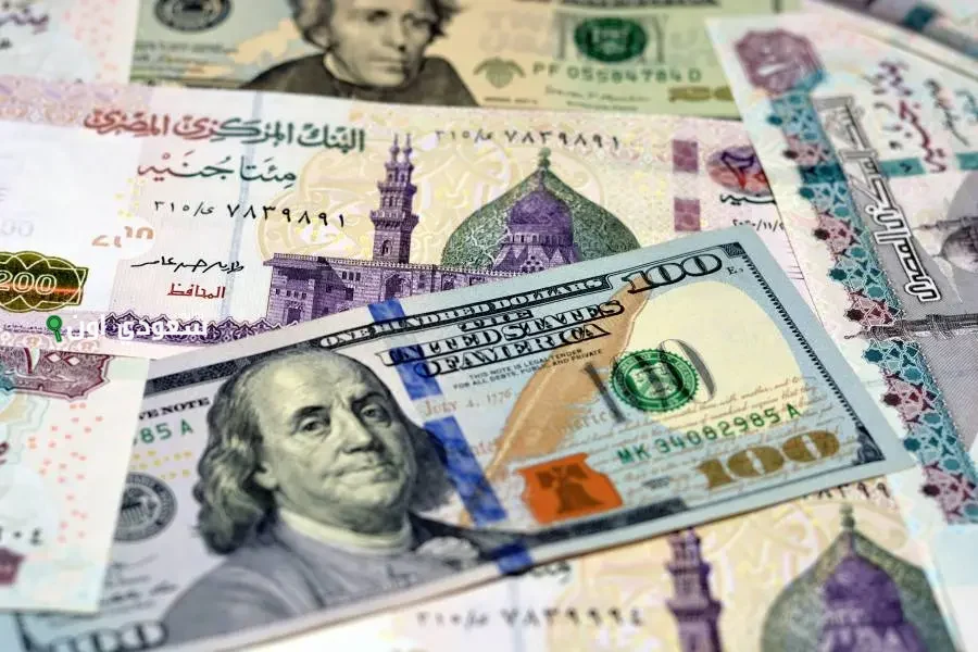 سعر صرف الدولار مقابل الجنيه في البنوك المصرية