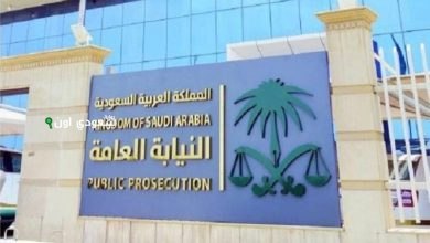 نيابة الاحتيال المالي