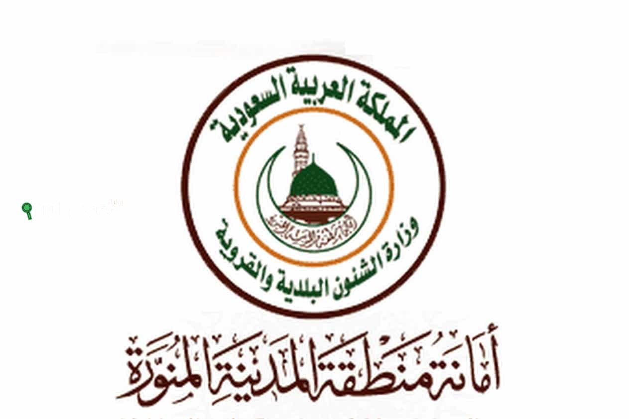 أسماء وعدد الوفيات في المدينة المنورة
