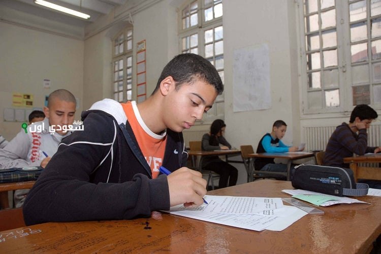 رابط نتائج شهادة التعليم المتوسط