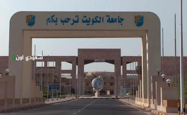 أفضل التخصصات العلمية المطلوبة في الكويت حسب المعدل
