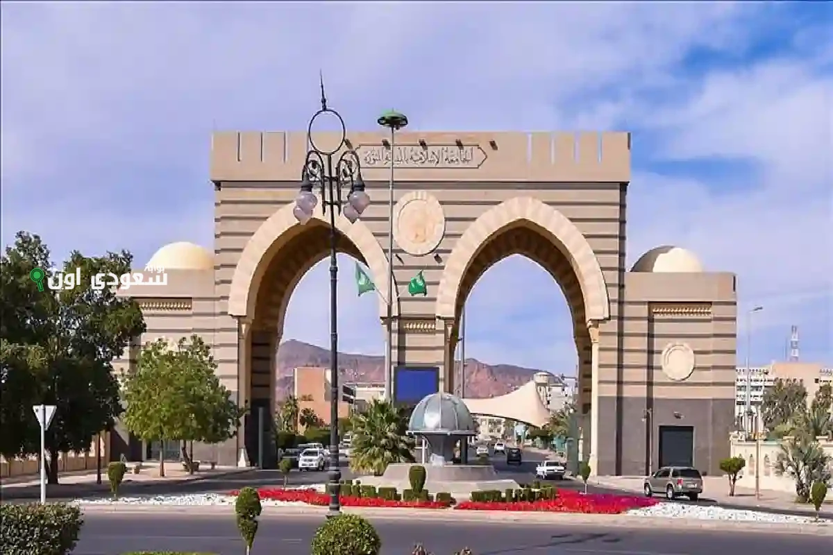 طريقة تقديم برامج الدراسات العليا من الجامعة الإسلامية