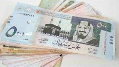 سعر صرف الريال السعودي مقابل الجنيه البنك المركزي