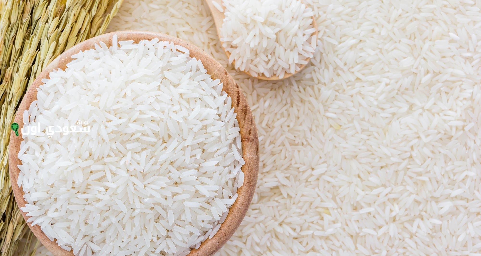 سعر طن الأرز اليوم