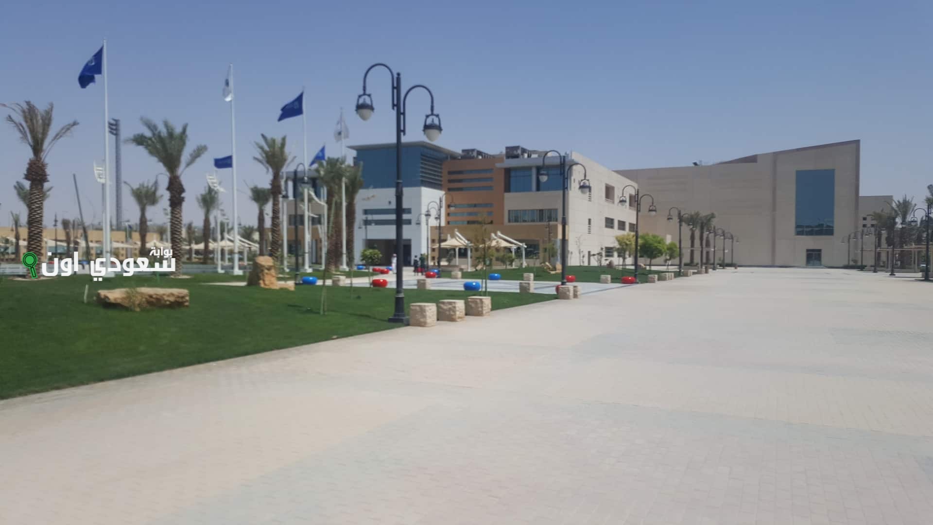 أفضل تخصصات جامعة الامير سلطان بالسعودية