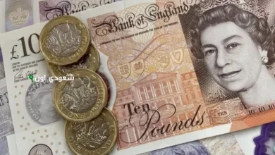 سعر الجنيه الإسترليني أمام الجنيه المصري اليوم