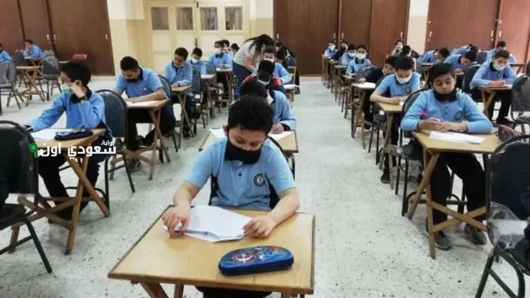 طريقة الاستعلام عن نتيجة الصف الرابع الابتدائي الترم الثاني