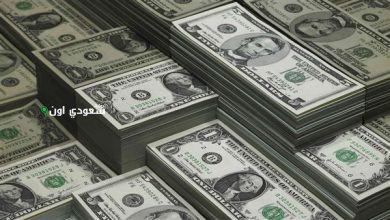 سعر الدولار الأمريكي مقابل الجنيه المصري البنك المركزي