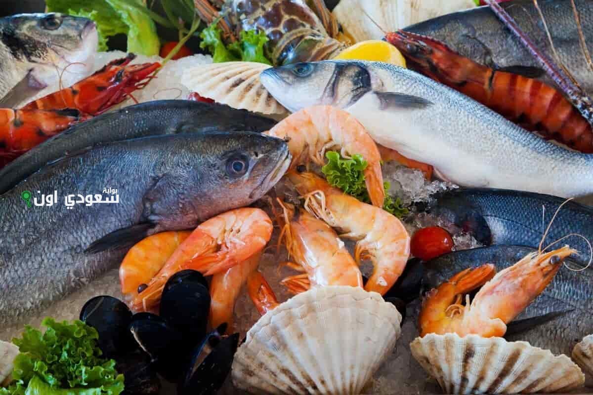 أسعار السمك