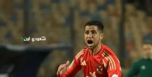 رضا سليم