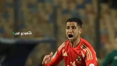 رضا سليم