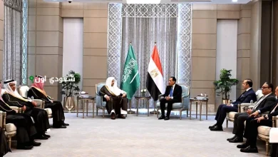 اجتماع وزراء خارجية السعودية ومصر وباكستان لمناقشة التطورات الإقليمية الراهنة
