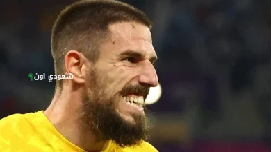 ميلوش ديجينيك،