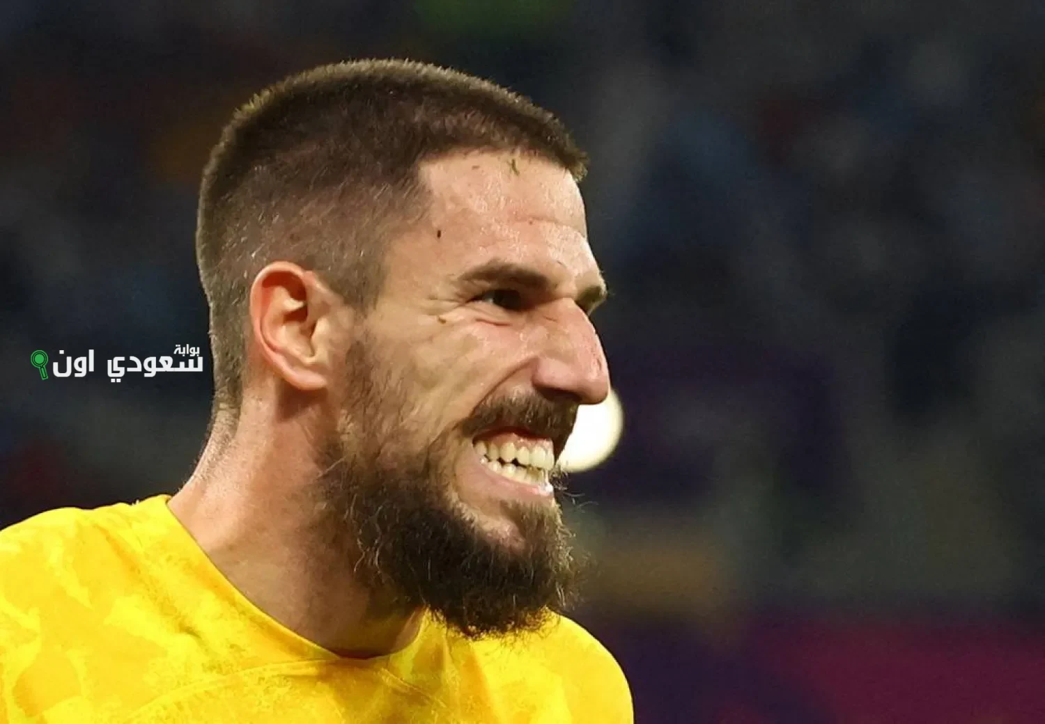 ميلوش ديجينيك،