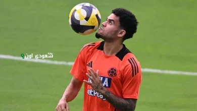 لويس دياز