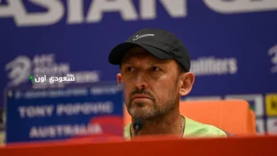 بوبوفيتش