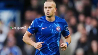 ميخايلو مودريك