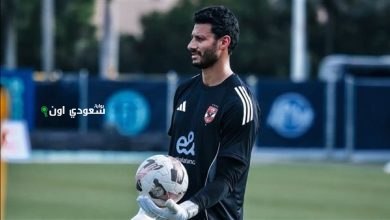محمد الشناوي