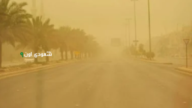 رياح نشطة وأتربة مثارة على شرورة