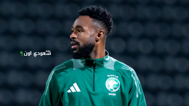 الشنقيطي