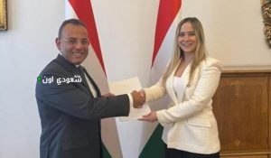 السفير المصري بالمجر