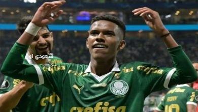 البرازيلي إستيفاو
