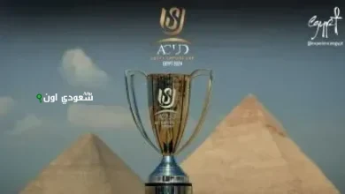 كأس عاصمة مصر