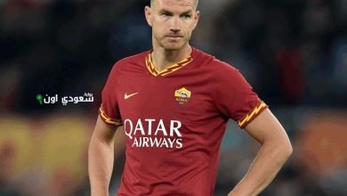 إدين دجيكو