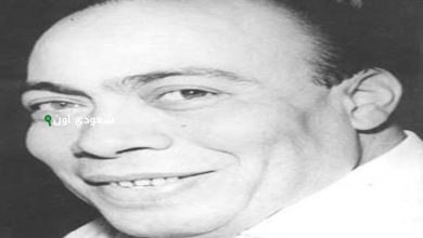 مأمون الشناوي