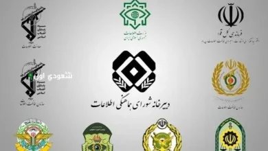 الجهات الأمنية في إيران