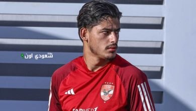 محمد الضاوي كريستو،