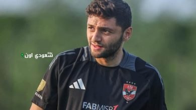كريم نيدفيد
